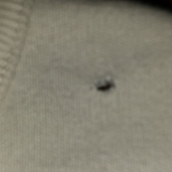 Striped Sweat shirt - Picture 4 of 5